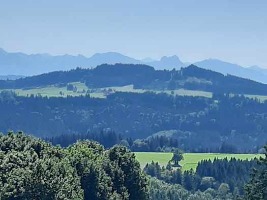Resonanz Frieden & Verbundenheit