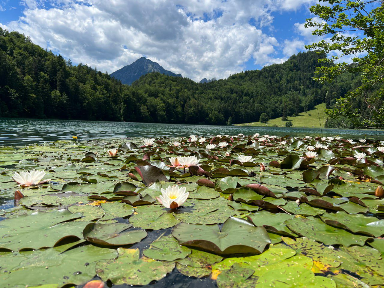 Geomantische Pilgertage von Füssen nach Pfronten 03. bis 05. Juli 2026